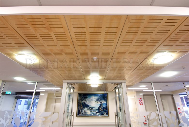 Gỗ tiêu âm rãnh dọc Remak™ Slotted 2