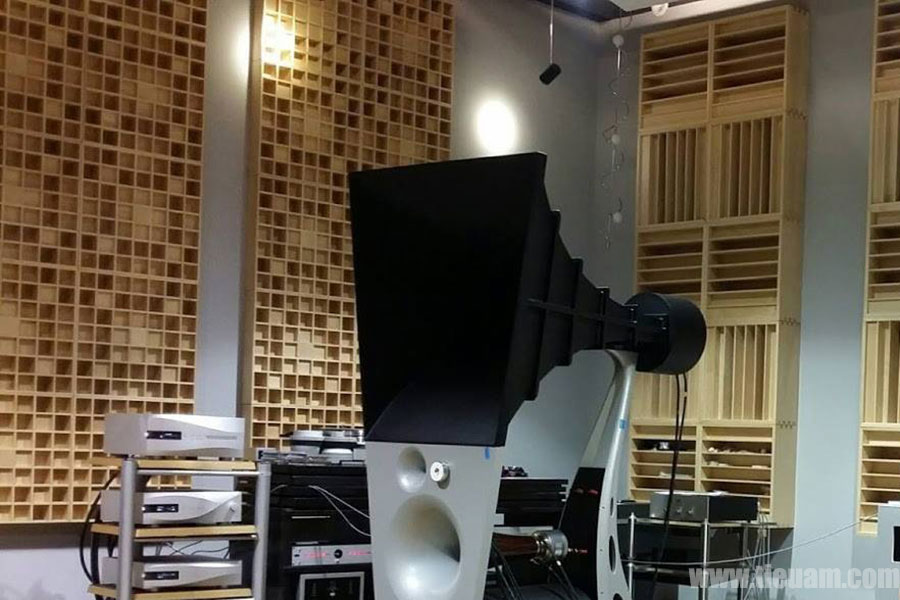 Remak™ D64 Diffuser 3