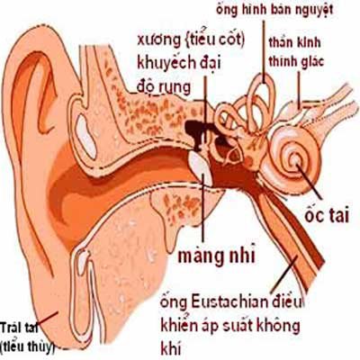 o-nhiem-tieng-on-anh-huong-toi-suc-khoe-nhu-the-nao