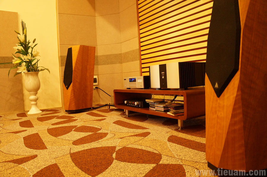 Phòng nghe nhạc Hi-end - Ảnh 2